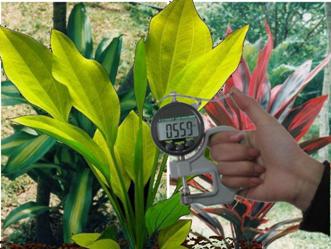 Medidor digital de espesor portátil