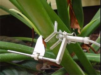 Sensores SD-5SF y SD-6SF para Micro-Variaciones del Tallo