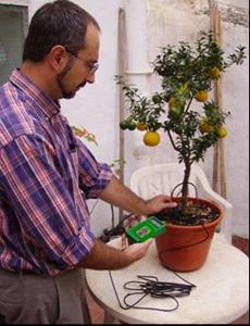 SF-HUM-10 Meter Measurement and check up of soil humidity